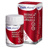 Branca montana a ursus, 120 cápsulas, Dvr Pharm