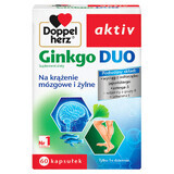 Doppelherz aktiv Ginkgo Duo, 60 cápsulas