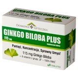 Ginkgo Biloba Plus, 48 tablets