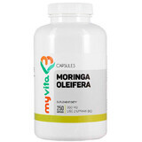 MyVita Moringa oleifera, Hoja de cultivo biológico, 250 cápsulas