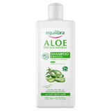 Equilibra Aloe, champú hidratante, aloe vera, 250 ml