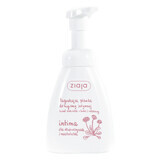 Ziaja Intima, foam for intimate hygiene, daisy flower, 250 ml