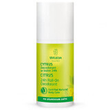 Weleda, desodorante roll on cítrico, 50 ml