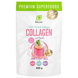 Intenson Collagen, 250 g