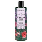 Vis Plantis Herbal Vital Care, champú para cabellos finos y con falta de volumen, 400 ml