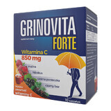 Grinovita Forte, 10 sobres