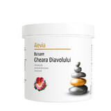 Balsam Gheara Diavolului, 250 g, Alevia