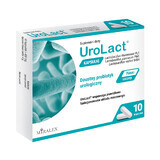 UroLact, 10 capsules