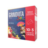 Grinovita Junior, para niños a partir de 3 años, 10 sobres + 3 sobres gratuitos