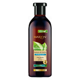 Marion Botanical, champú limpiador a base de plantas, ortiga, cabello graso, 400 ml