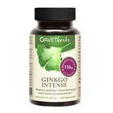 Avet Herbs Ginkgo Intenso, 60 cápsulas