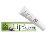 Lipskin Plus, ointment for oral cavities and skin problems, 7 g