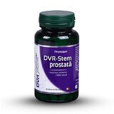 DVR-Stem Próstata, 60 cápsulas, Dvr Pharm