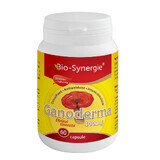 Ganoderma Jugend Elixier 400mg, 60 Kapseln, Bio Synergie