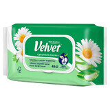 Terciopelo, papel higiénico humedecido, Camomila & Aloe Vera, con clip, 42 piezas