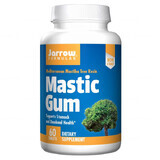 Jarrow Formulas Mastic Gum, 60 cápsulas