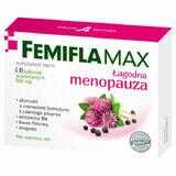 Femiflamax, 60 comprimidos recubiertos