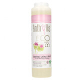 Anthyllis EcoBio, champú para cabello graso y caspa, extracto de bardana, 250 ml