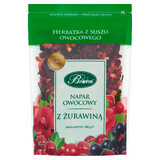 Bi Fix, Infuso di frutta, Mirtillo rosso, 100 g