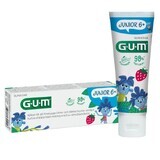 Sunstar Gum Junior, pasta dentífrica, a partir de 6 años, 50 ml