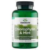 Swanson Chlorophyllin &amp; Mint, clorofila con menta, 500 comprimidos masticables