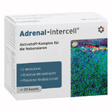 Mito-Pharma Adrenal-Intercell, 120 cápsulas