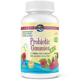 Nordic Naturals, Probiotic Gummies KIDS, bonbons pour enfants de plus de 2 ans, 60 pièces