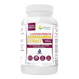 Wish Extracto de Ashwagandha, ashwagandha 500 mg + L-leucina + prebiótico, 120 cápsulas