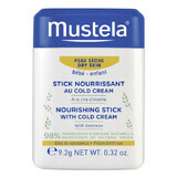 Mustela Bebe Enfant, stick protector al Cold Cream, desde el nacimiento, 9,2 g