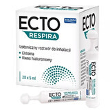 Ecto Respira, solución isotónica para inhalación, 5 ml x 20 ampollas