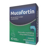 Mucofortin 600 mg, 10 comprimidos efervescentes