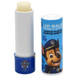 Bálsamo labial para niños Paw Patrol, 5 g, Take Care