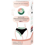 Femi.Eko Braguita menstrual de flujo bajo, talla S, 1ud