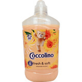 Coccolino Orange Rush Laundry Conditioner 68 lavages, 1,7 l