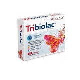 Tribiolac, 20 gélules