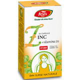 Zinc con Vitamina D3, 30 cápsulas, Fares