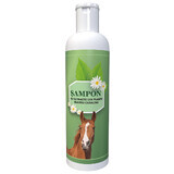 Champú a base de plantas para caballos, 200 ml, Pasteur