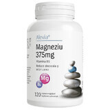 Magnesio 375mg B6, 120 cápsulas, Alevia