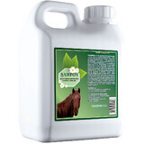 Shampooing aux extraits de plantes pour chevaux, 1000 ml, Pasteur