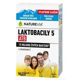 NATUREVIA LACTOBACILY "5" ATB/Immunitate