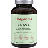 Chaganela Siberian Chaga Extract 270 gélules