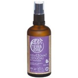 Ambientador Tierra Verde Lavanda Ecológica 100 ml