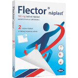 Flector 2 piezas