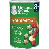 Gerber Bio-Himbeer-Bananen-Chips 35 g