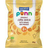 Salvest Põnn Bio Mango-Chips 20 g