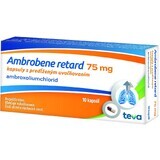 Ambrobene RETARD 75 mg cps plg 10 capsule