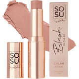 Colfarm Blush on the go Blush on the go Colorete en barra Rose Rose 7 g