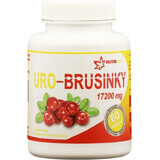 Nutricius URO Arándano rojo 60 comprimidos