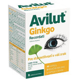 Avilut Ginkgo Recordati 90 capsules