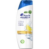 Head & Shoulders Champú de Cítricos para Cabello Graso 400 ml